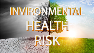 Environmental Health Risks: Addressing Pollution, Climate Change, and Their Impact on Public Health