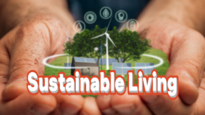 Sustainable Living: Easy Eco-Friendly Habits to Adopt