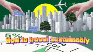 How to Travel Sustainably: Eco-Friendly Tips for Your Journey